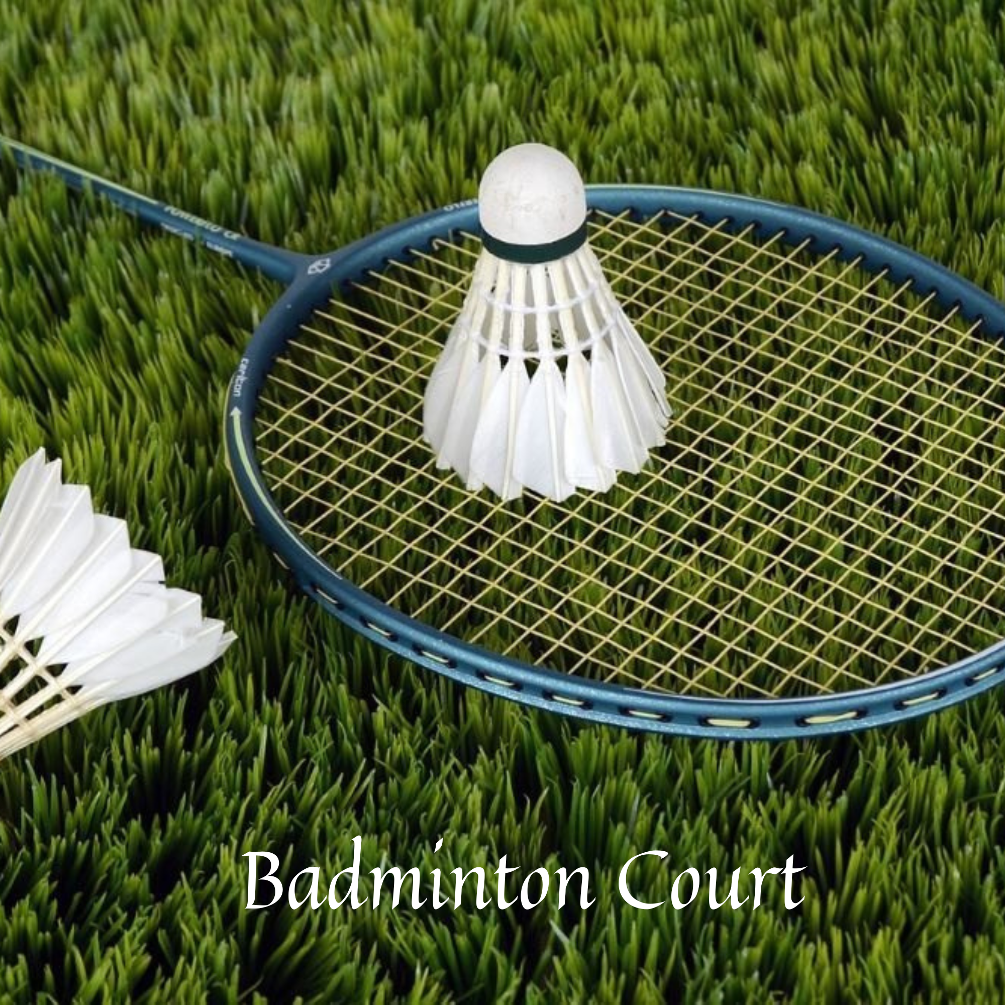 Badminton Court