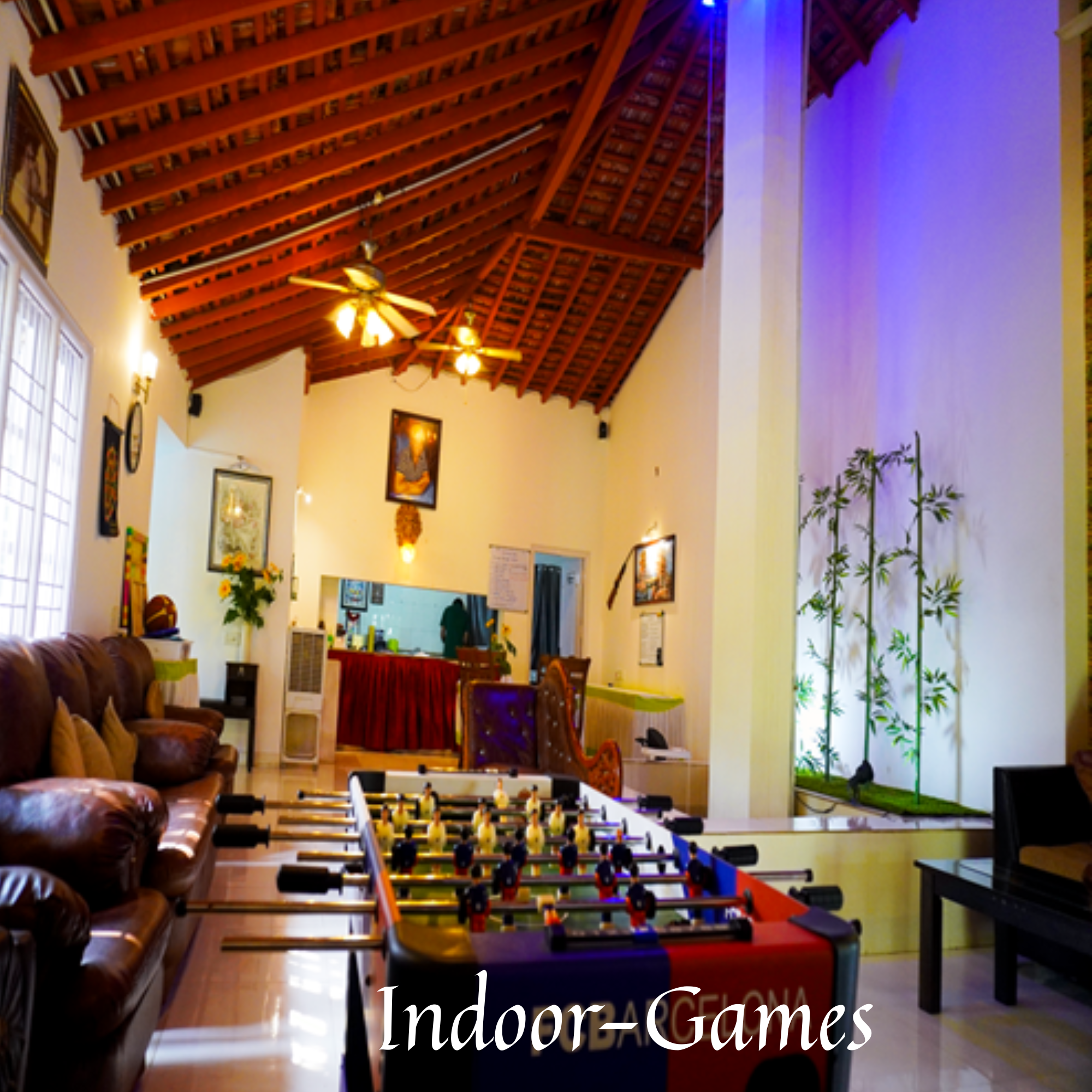 Indoor Games