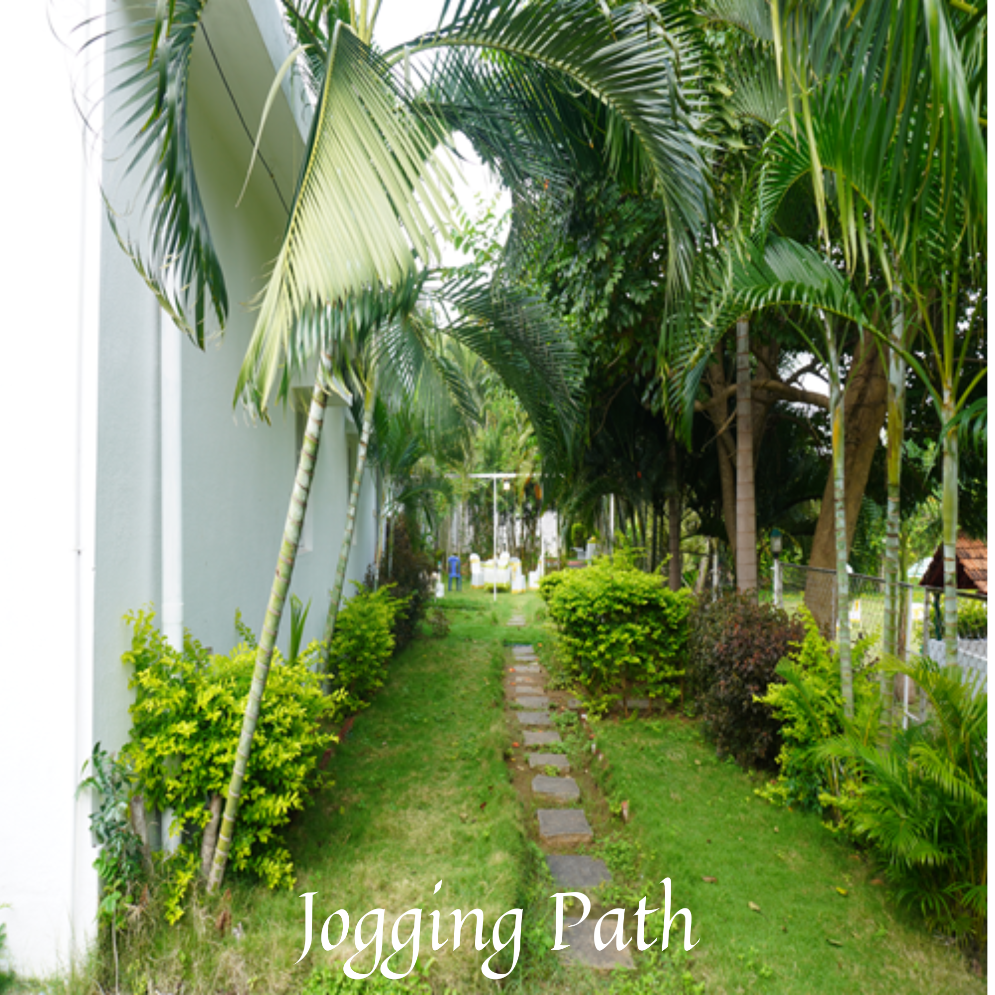 Jogging Track