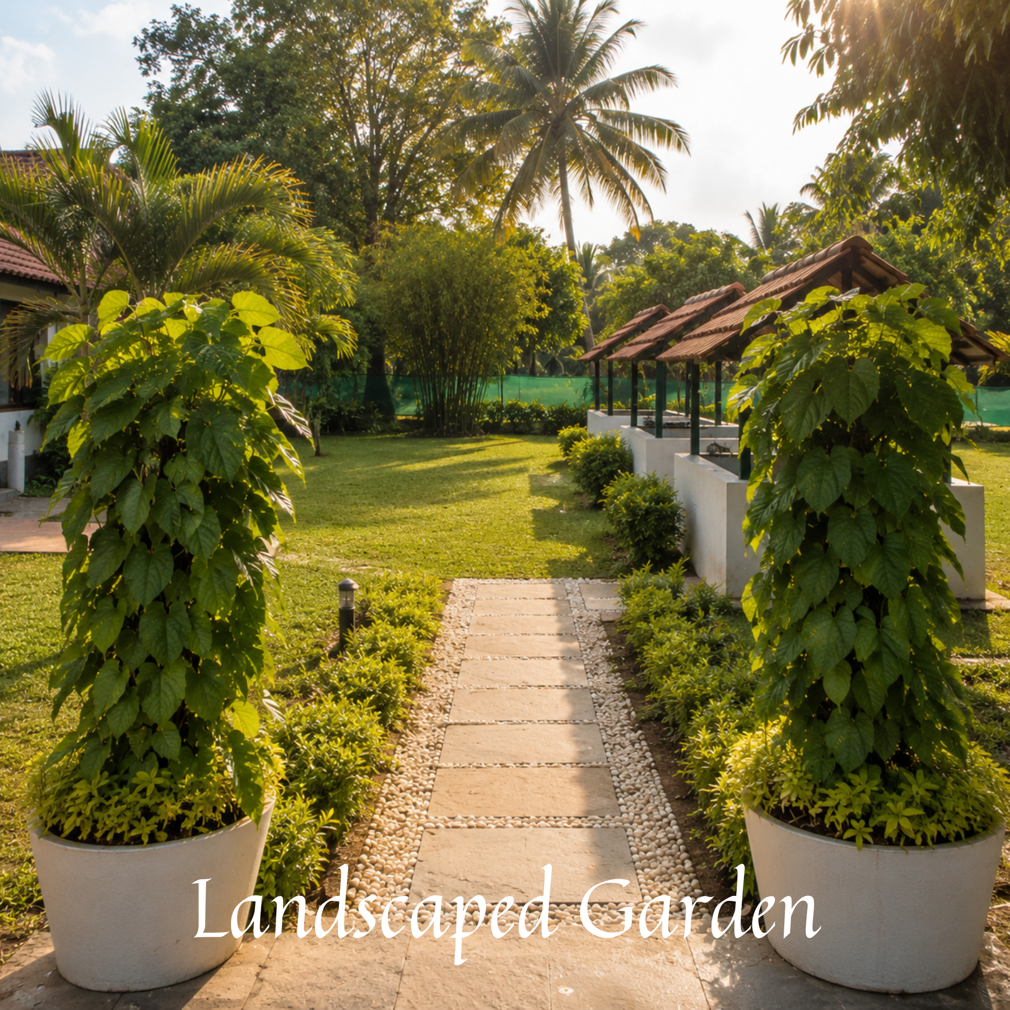 Landscaped Garden